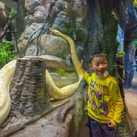 长隆野生动物园门票价格】2014广州长隆野生